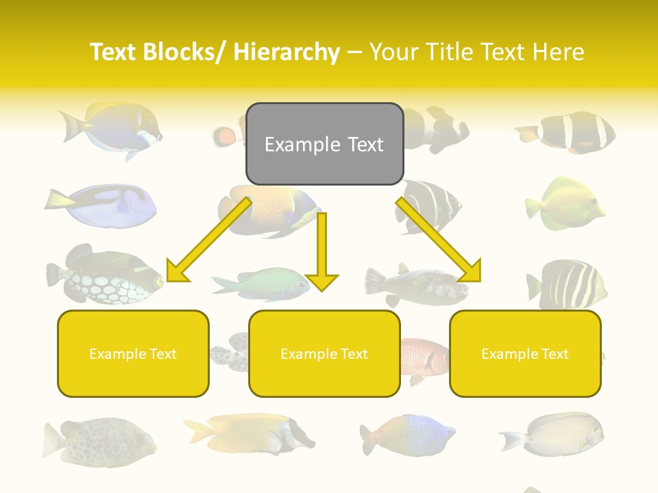 Dive Collection Salt PowerPoint Template