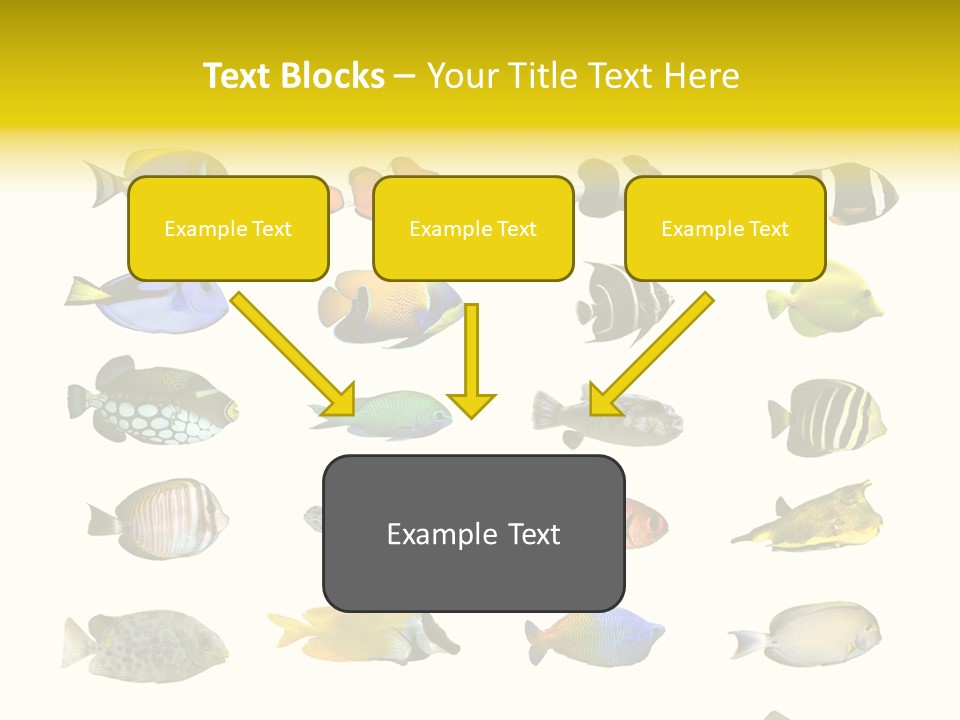 Dive Collection Salt PowerPoint Template