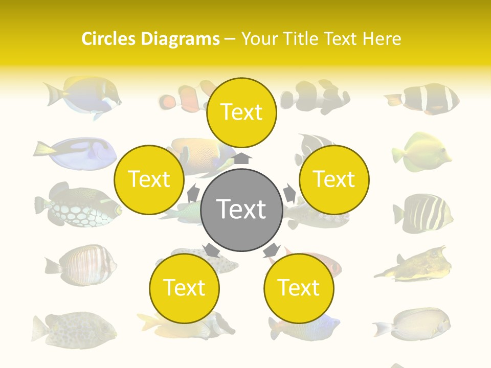 Dive Collection Salt PowerPoint Template