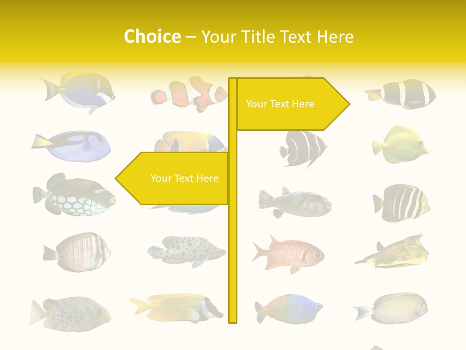 Dive Collection Salt PowerPoint Template