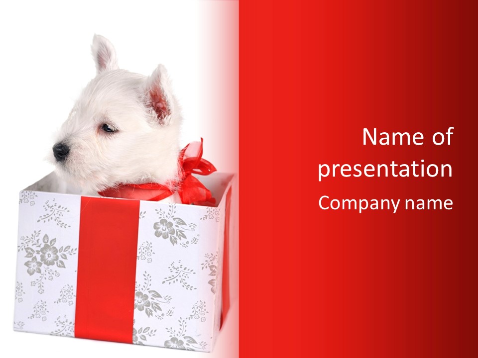 Mammal Ears Dog PowerPoint Template