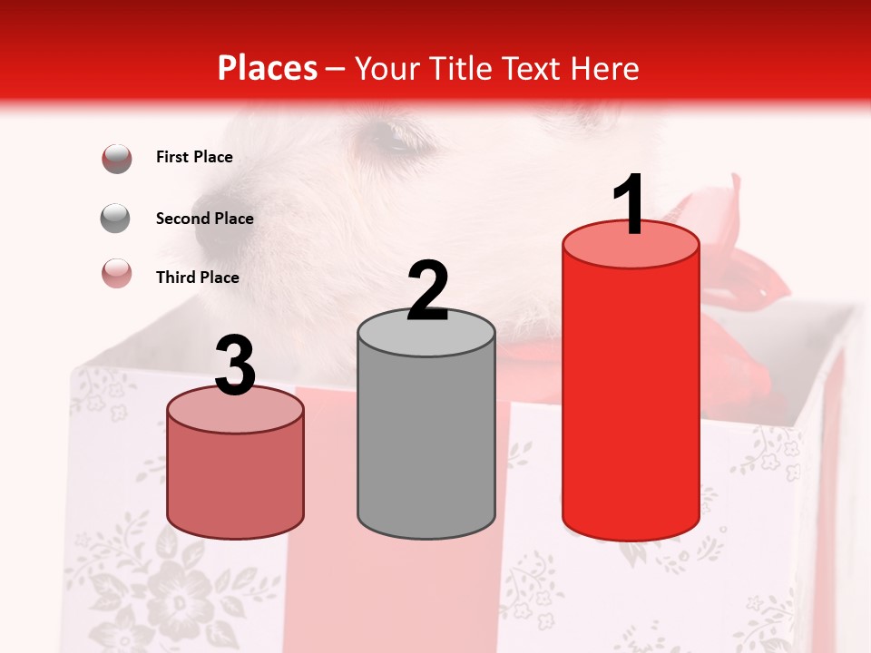 Mammal Ears Dog PowerPoint Template