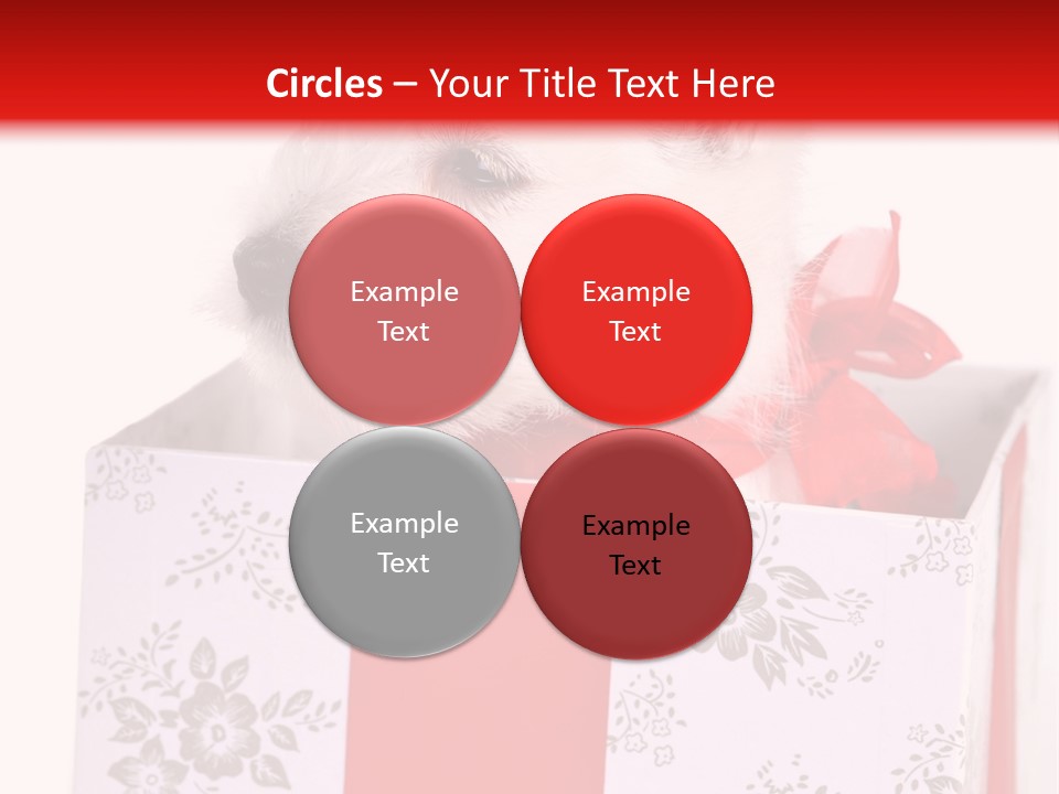 Mammal Ears Dog PowerPoint Template