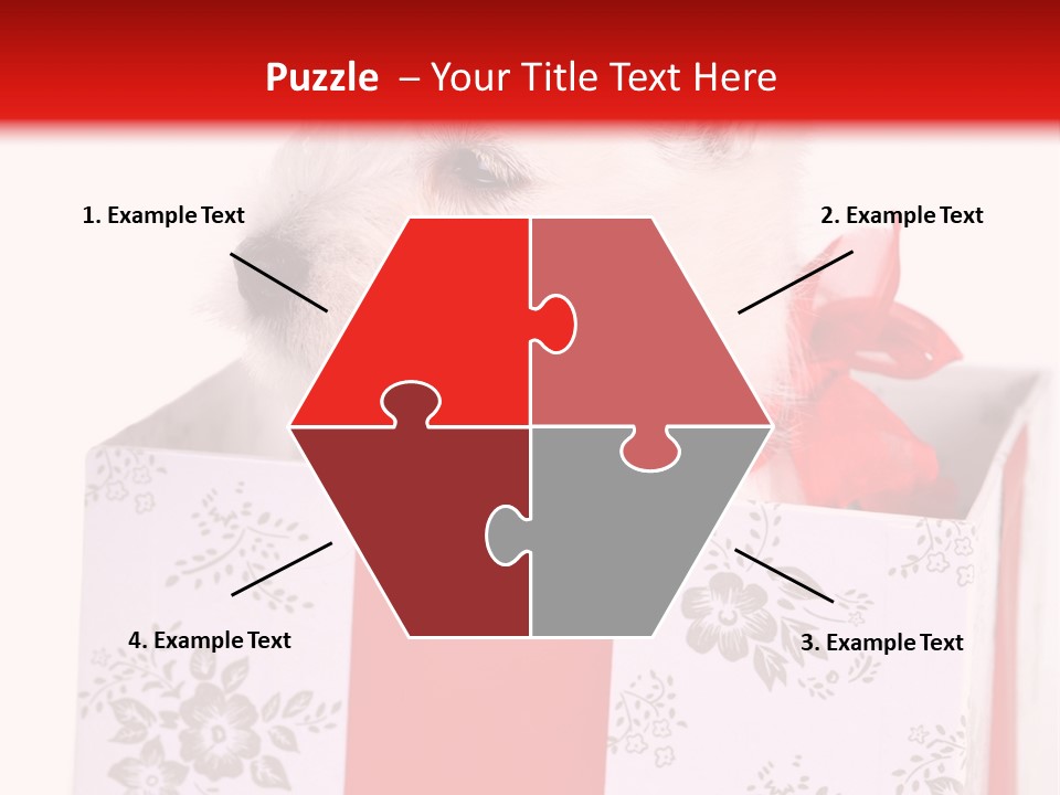 Mammal Ears Dog PowerPoint Template