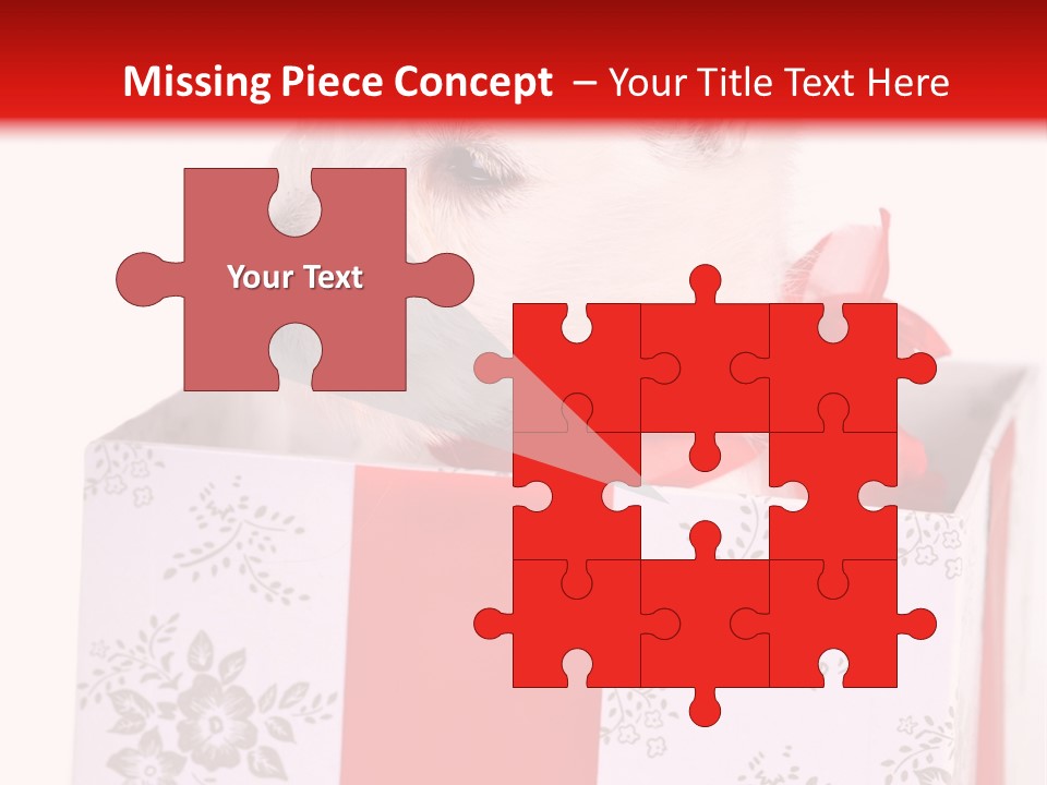 Mammal Ears Dog PowerPoint Template