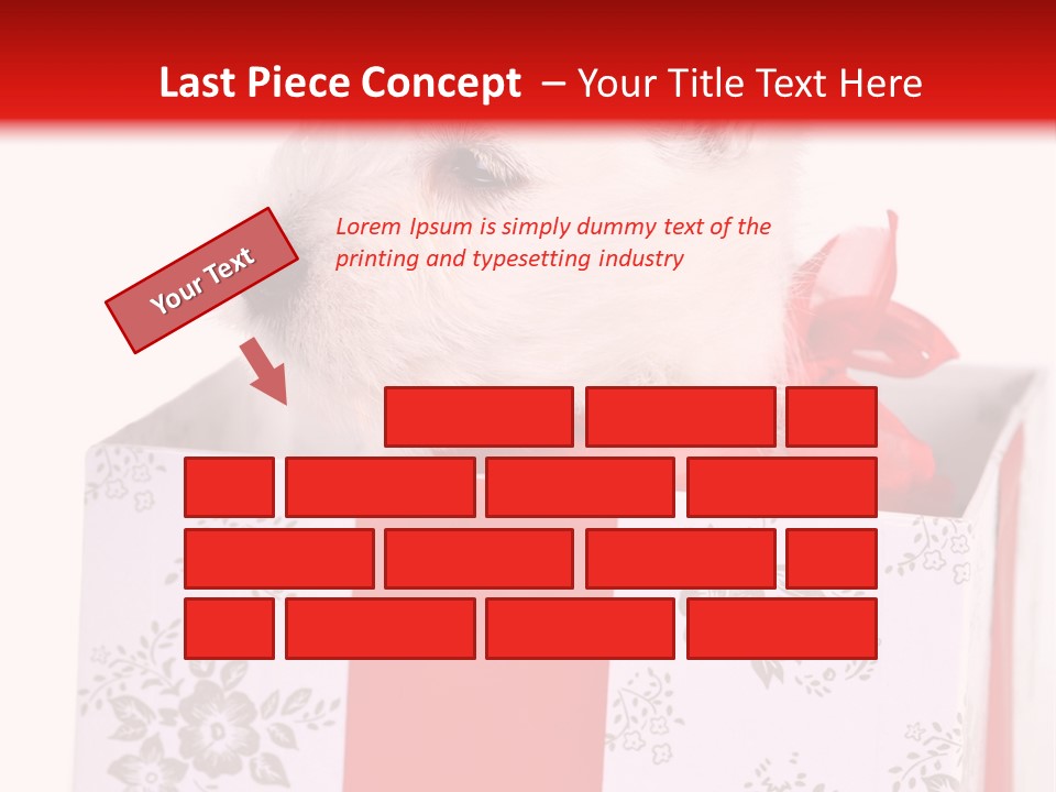 Mammal Ears Dog PowerPoint Template