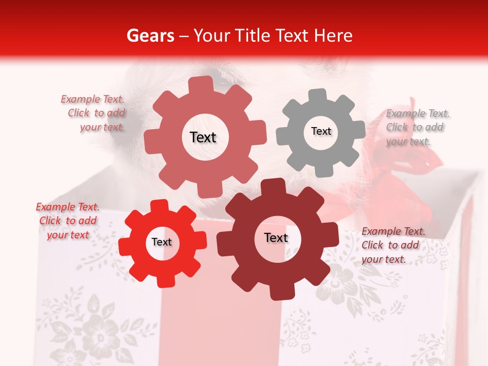 Mammal Ears Dog PowerPoint Template