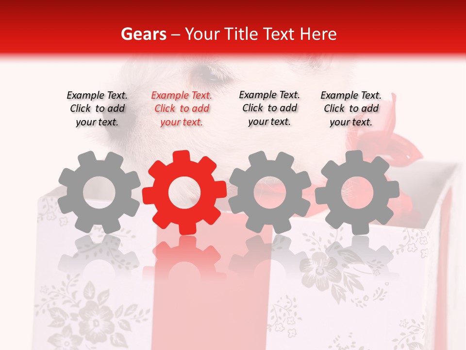 Mammal Ears Dog PowerPoint Template