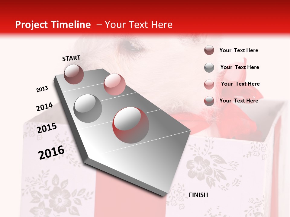 Mammal Ears Dog PowerPoint Template