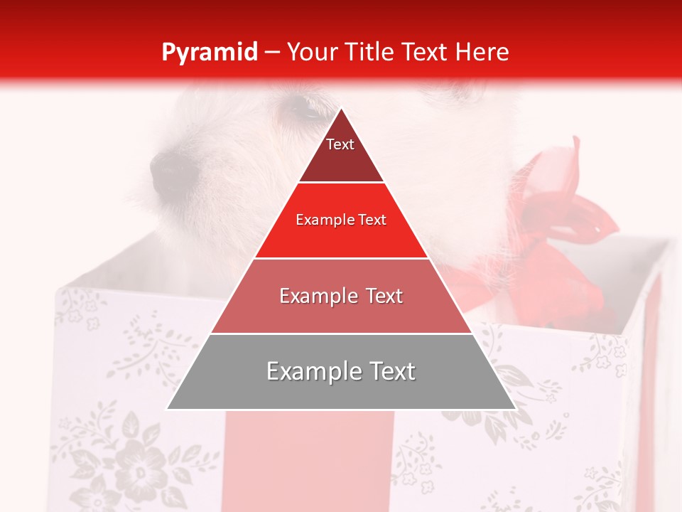 Mammal Ears Dog PowerPoint Template