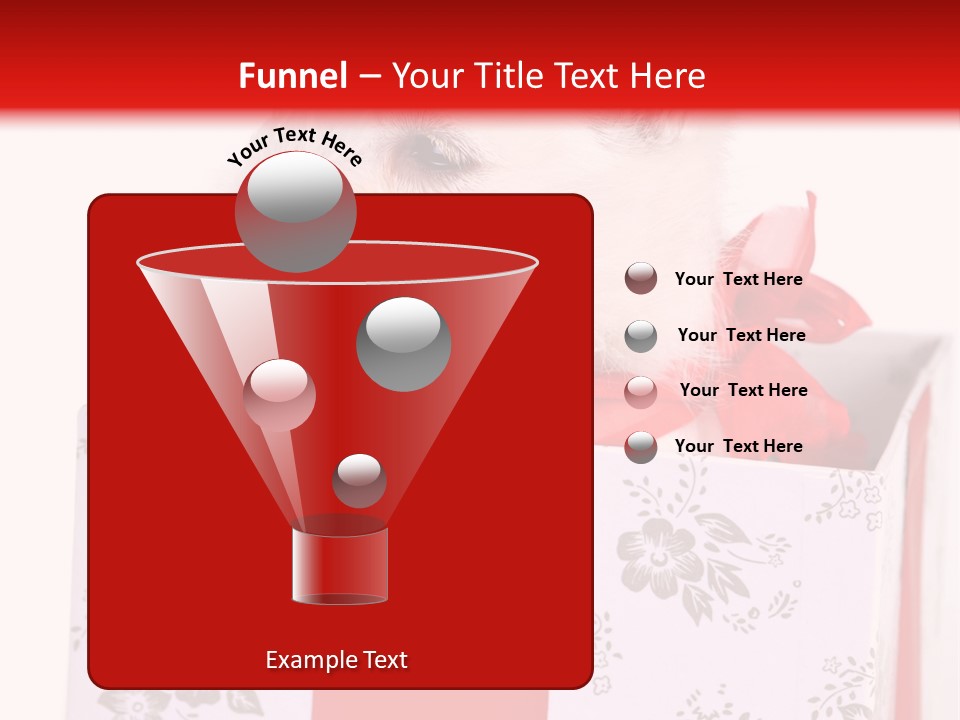 Mammal Ears Dog PowerPoint Template