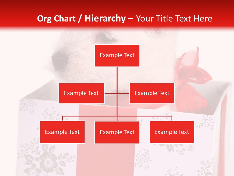 Mammal Ears Dog PowerPoint Template
