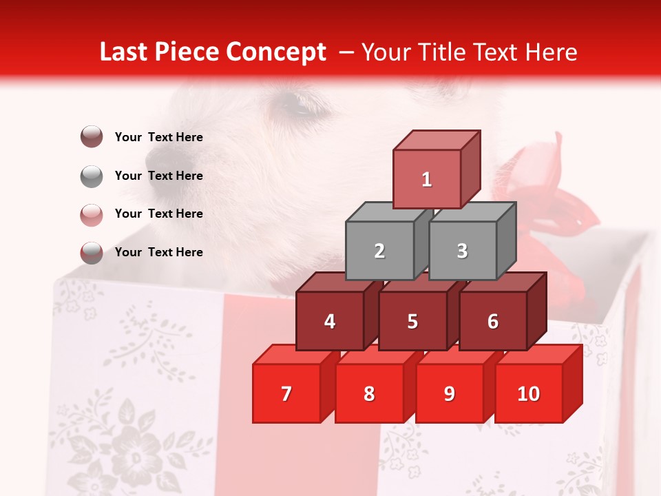 Mammal Ears Dog PowerPoint Template