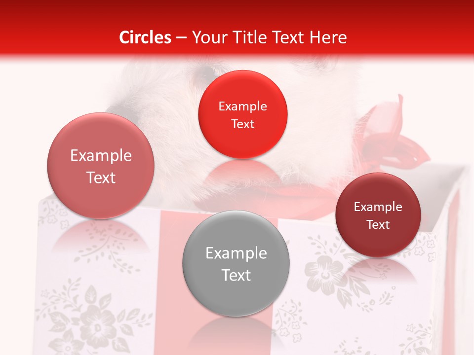 Mammal Ears Dog PowerPoint Template