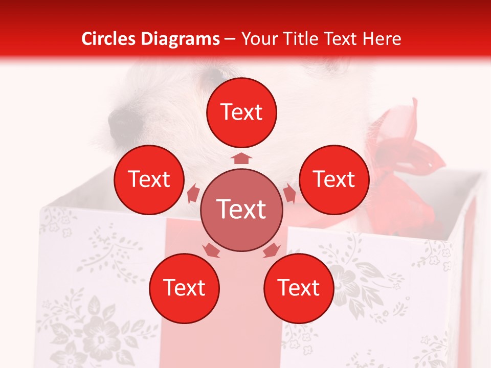 Mammal Ears Dog PowerPoint Template