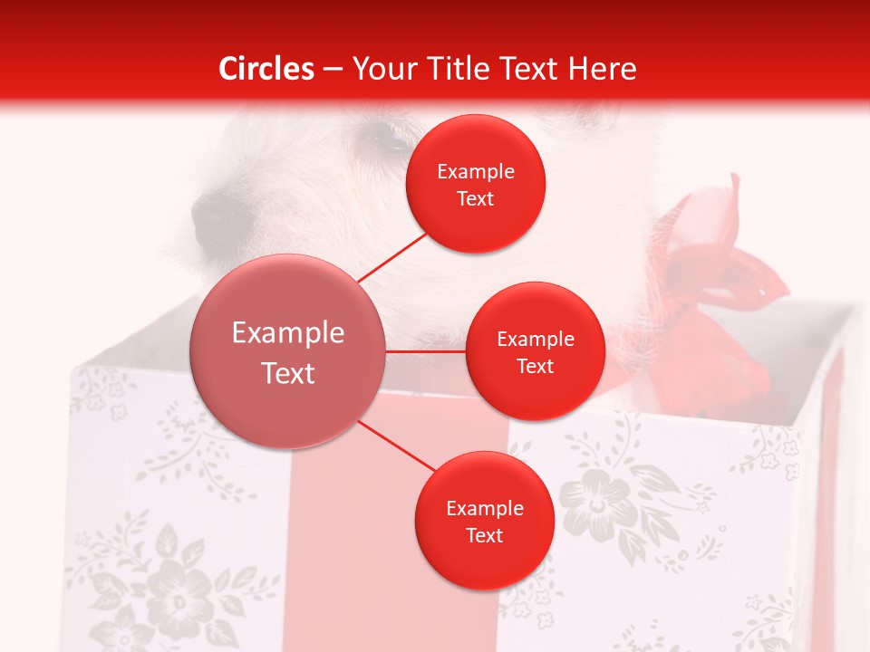 Mammal Ears Dog PowerPoint Template