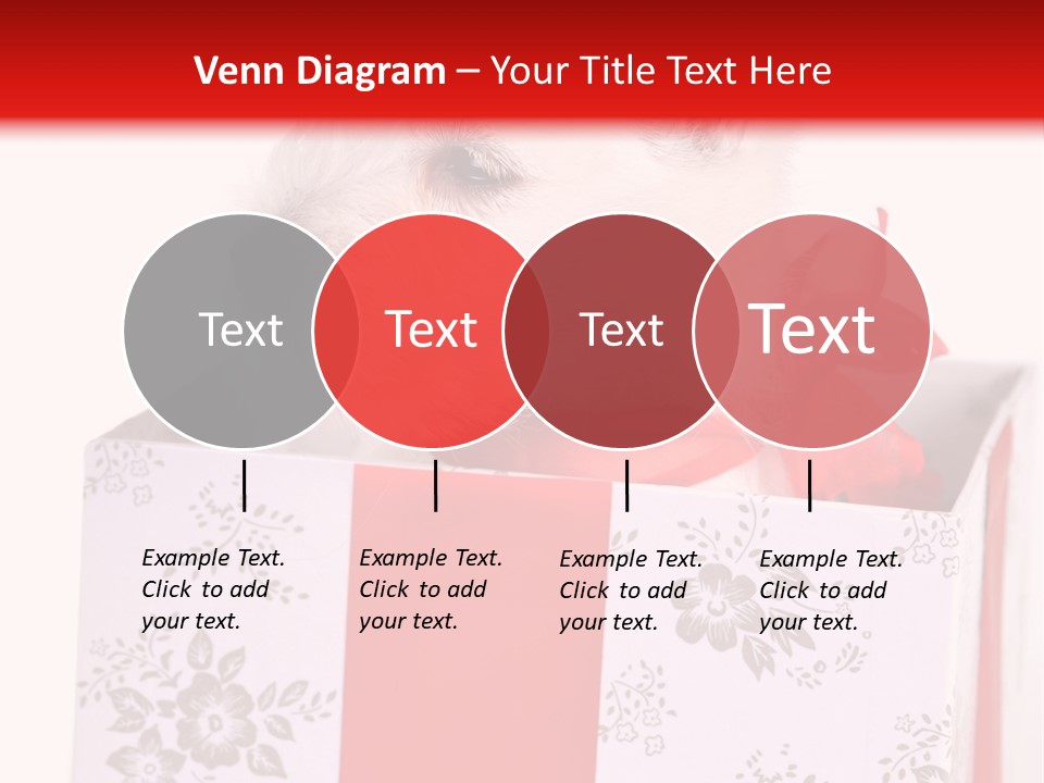 Mammal Ears Dog PowerPoint Template