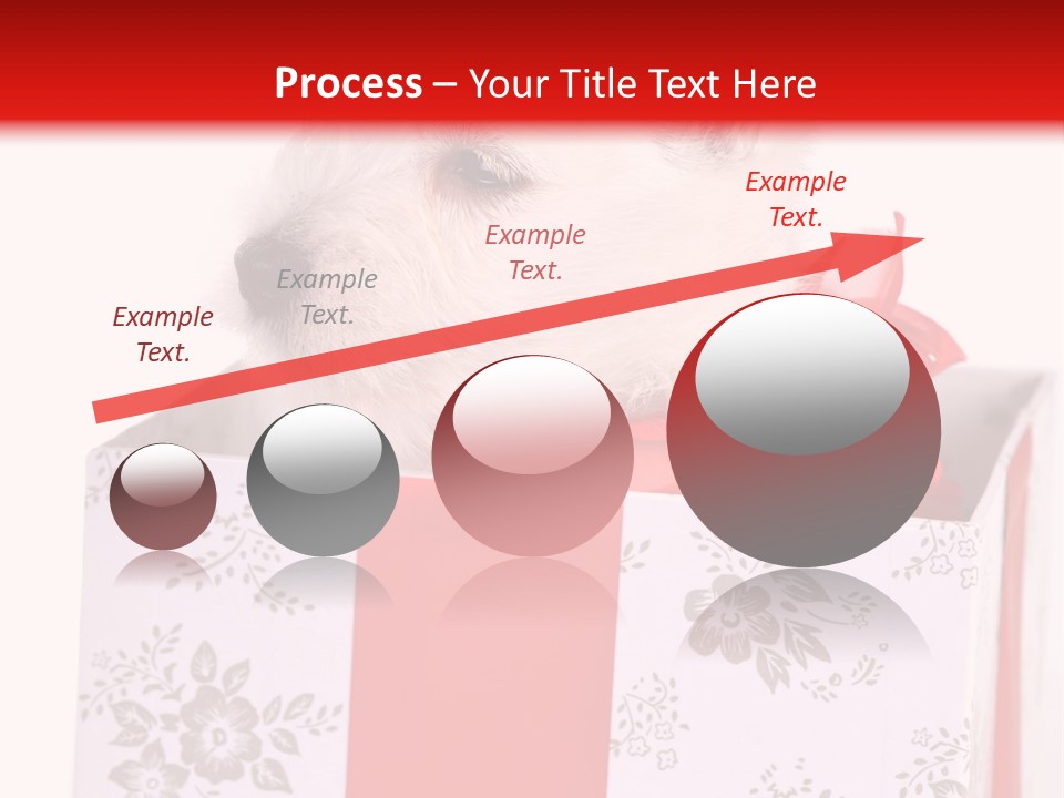 Mammal Ears Dog PowerPoint Template