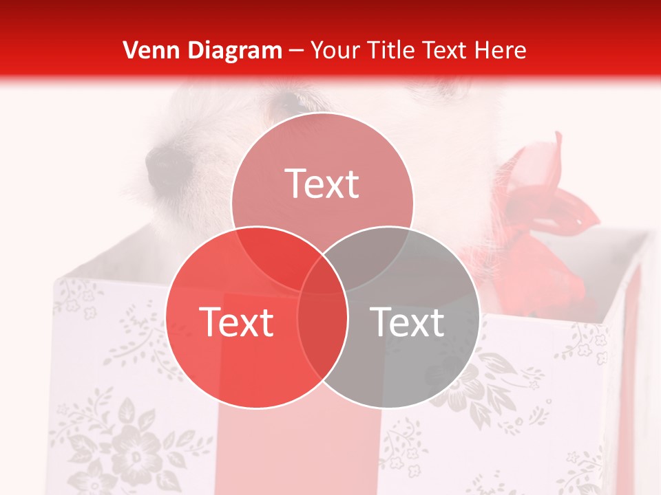 Mammal Ears Dog PowerPoint Template