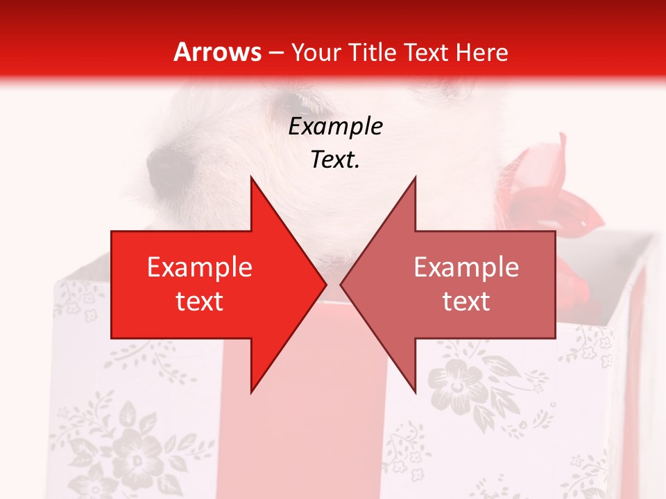 Mammal Ears Dog PowerPoint Template