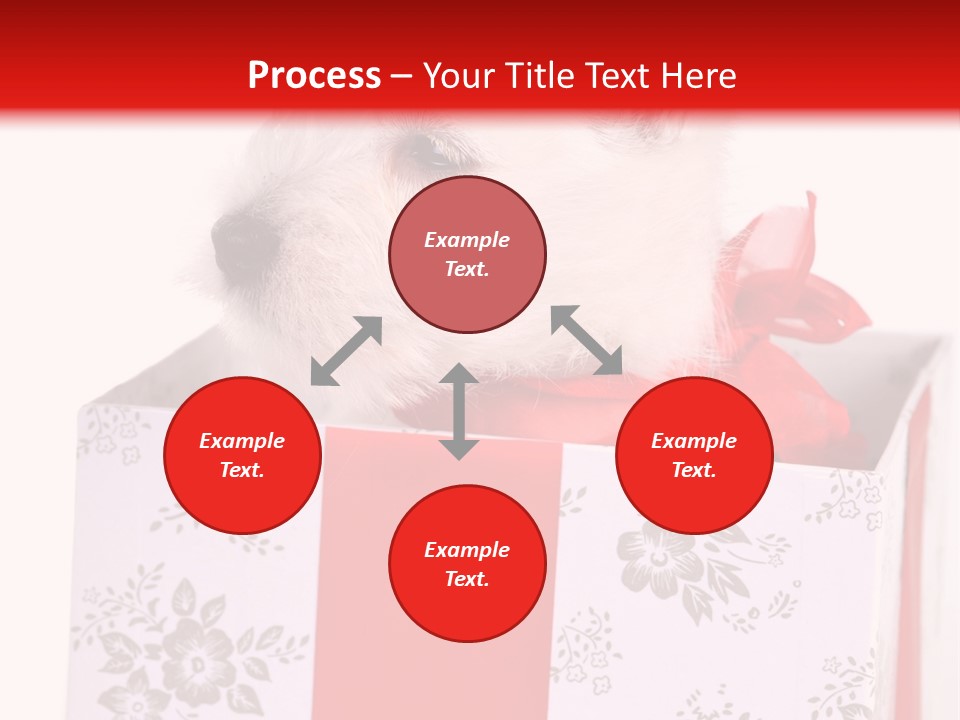 Mammal Ears Dog PowerPoint Template