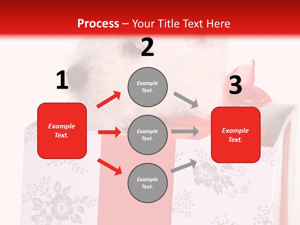 Mammal Ears Dog PowerPoint Template