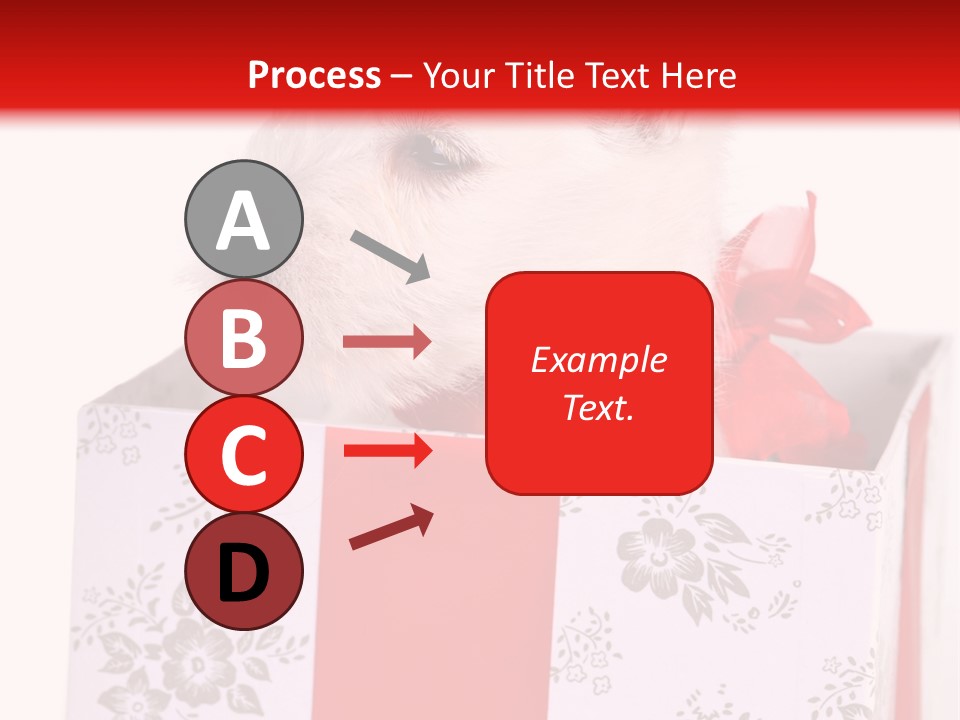 Mammal Ears Dog PowerPoint Template