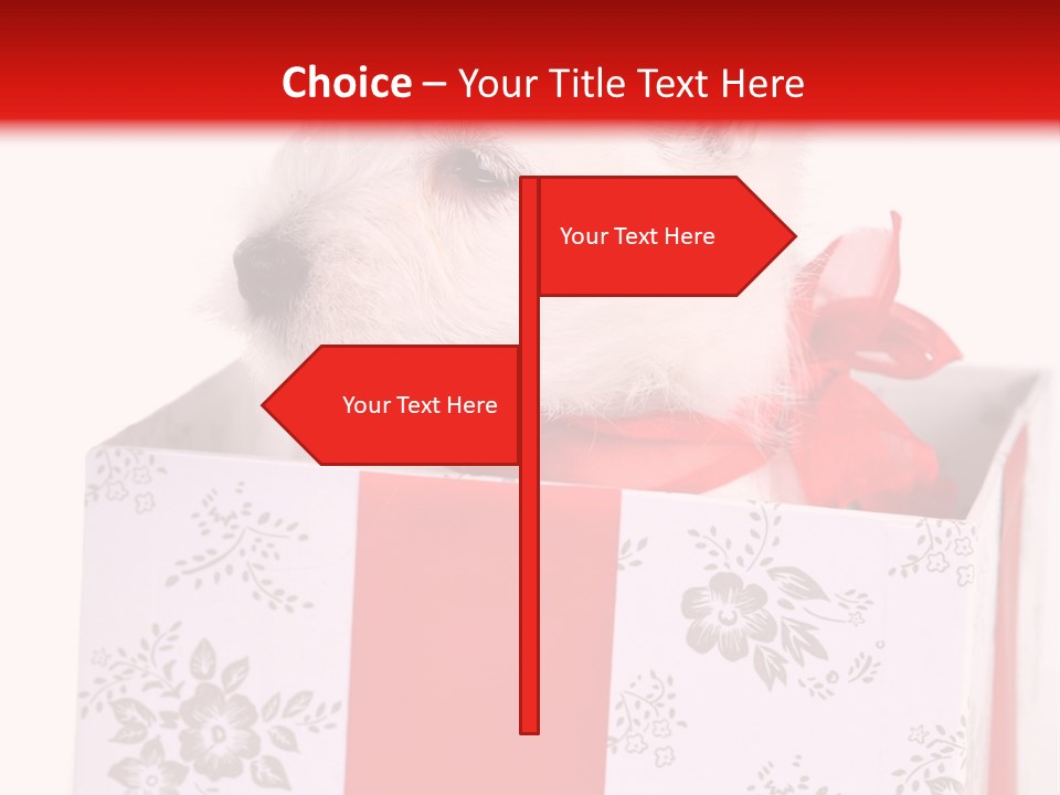 Mammal Ears Dog PowerPoint Template