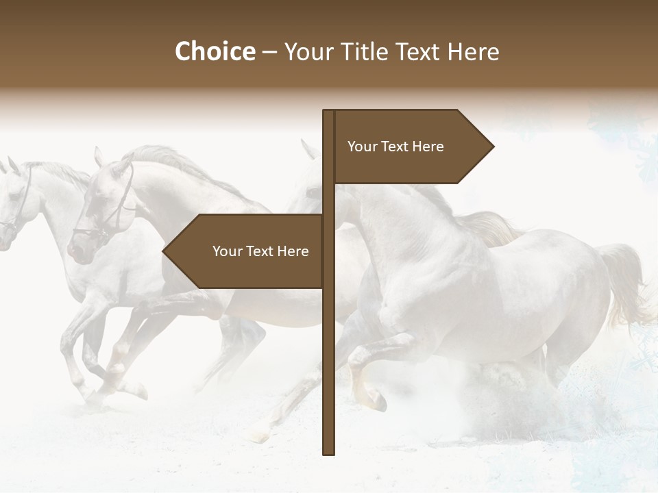 Dust New Nature PowerPoint Template