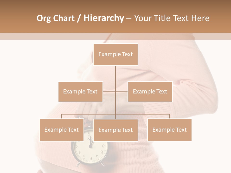 Care Birth Abdomen PowerPoint Template
