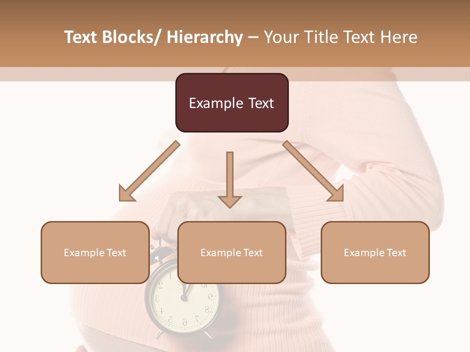 Care Birth Abdomen PowerPoint Template