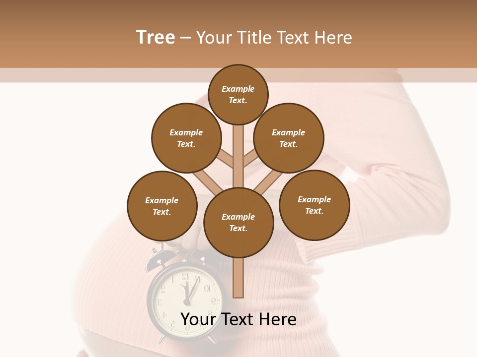 Care Birth Abdomen PowerPoint Template