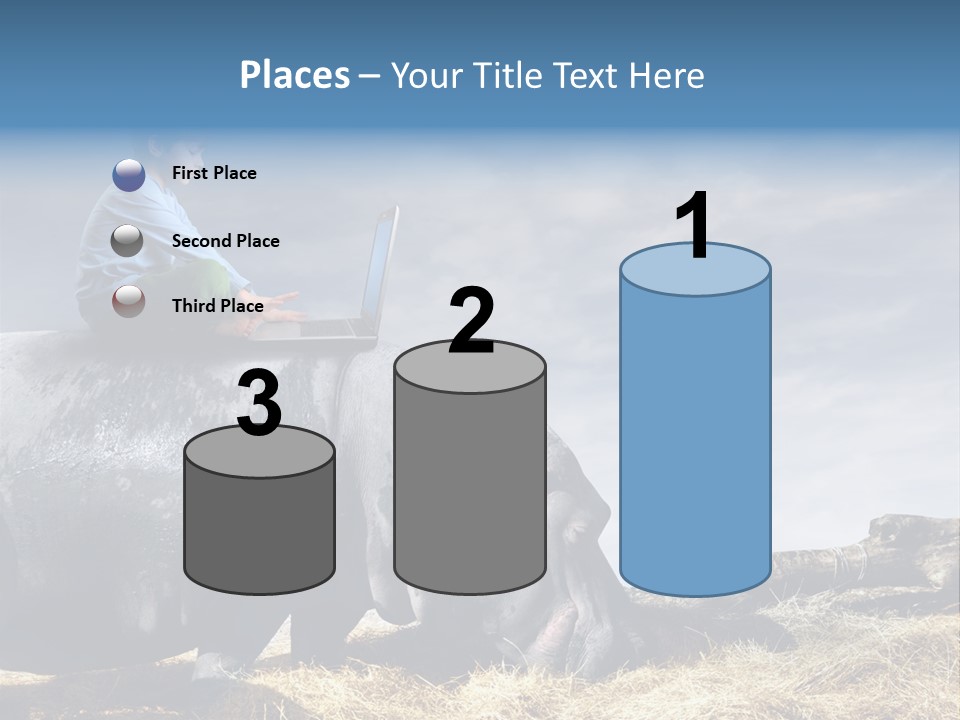 Hippo Boy Connection PowerPoint Template