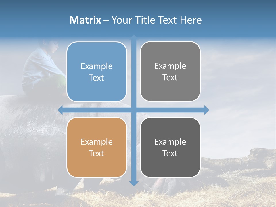 Hippo Boy Connection PowerPoint Template