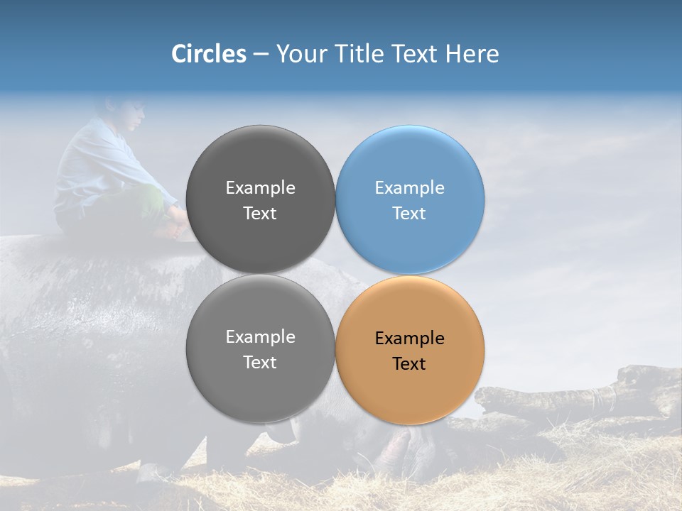 Hippo Boy Connection PowerPoint Template