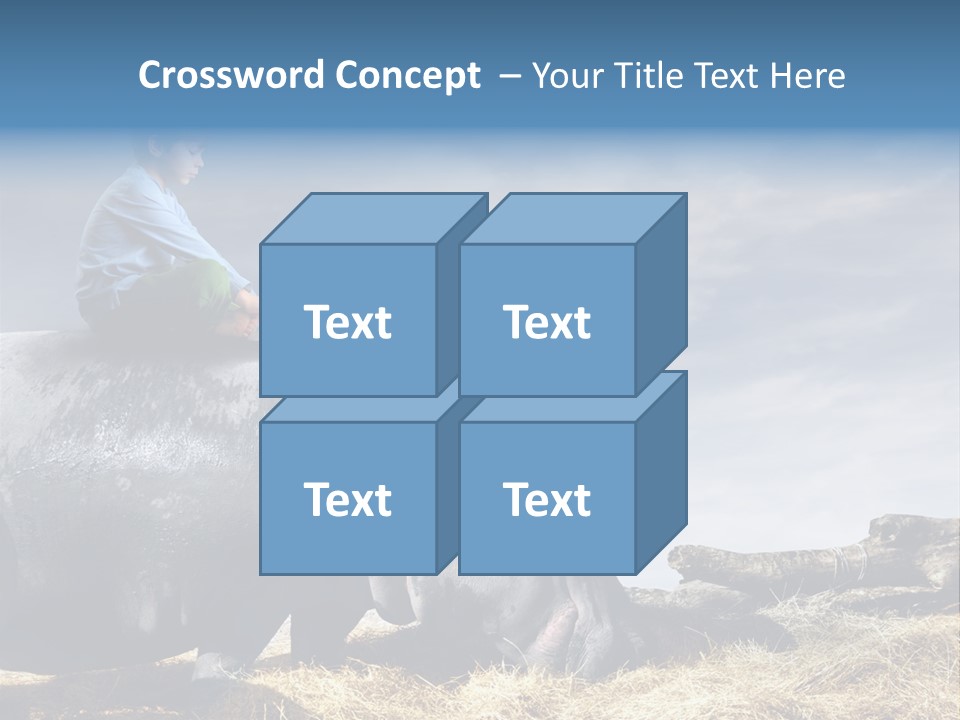 Hippo Boy Connection PowerPoint Template