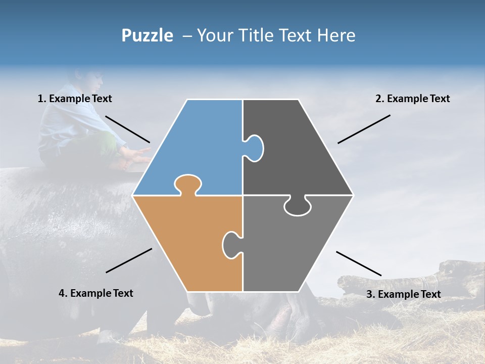 Hippo Boy Connection PowerPoint Template