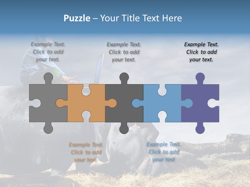 Hippo Boy Connection PowerPoint Template