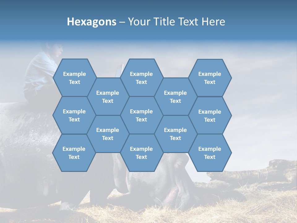 Hippo Boy Connection PowerPoint Template