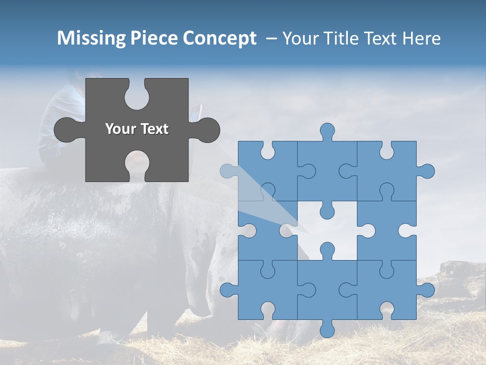 Hippo Boy Connection PowerPoint Template