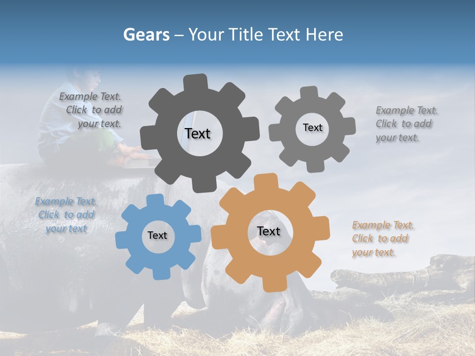 Hippo Boy Connection PowerPoint Template