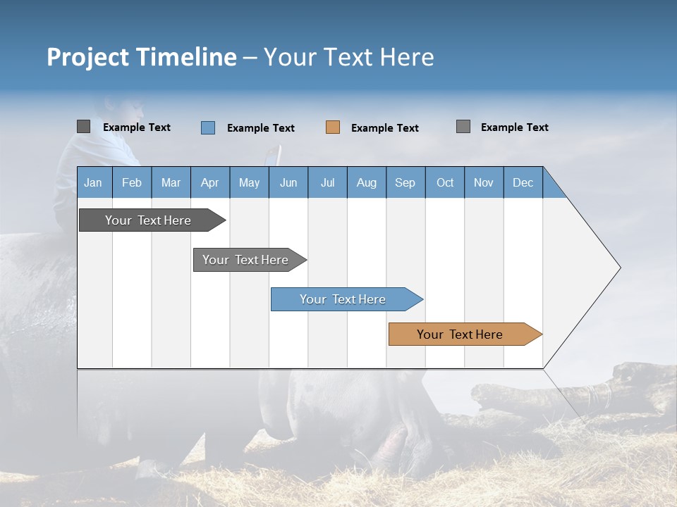 Hippo Boy Connection PowerPoint Template