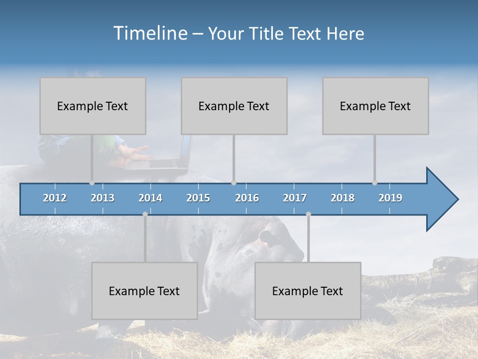 Hippo Boy Connection PowerPoint Template