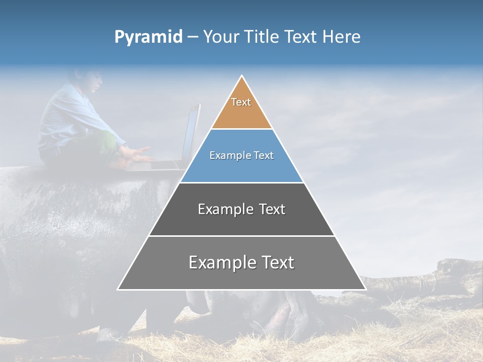 Hippo Boy Connection PowerPoint Template