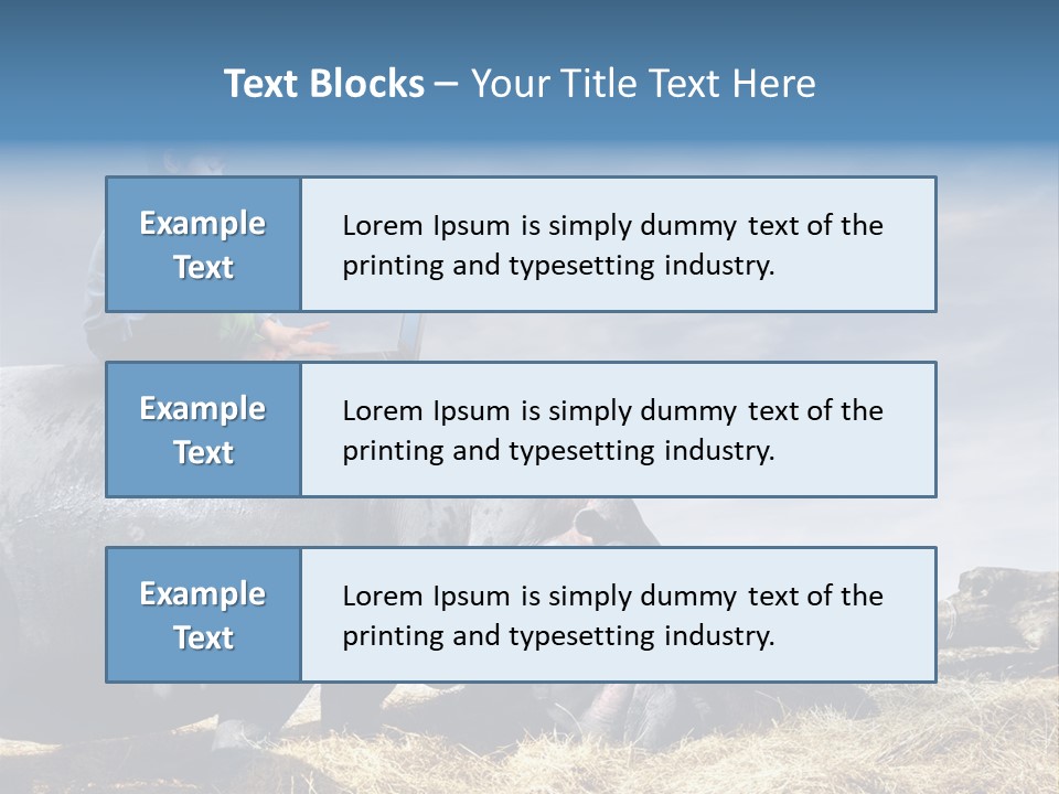 Hippo Boy Connection PowerPoint Template