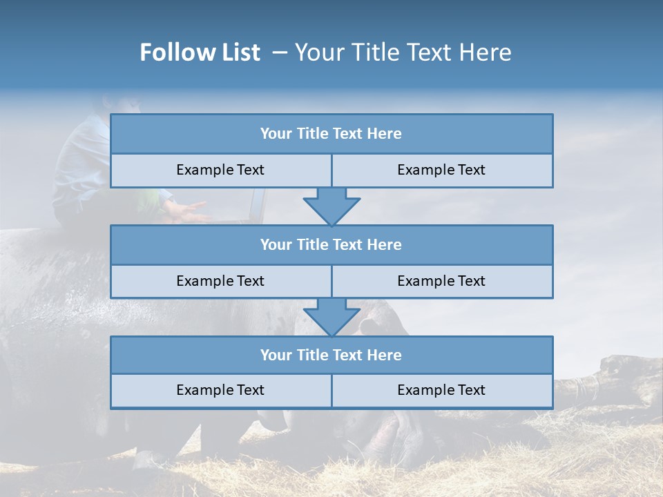 Hippo Boy Connection PowerPoint Template