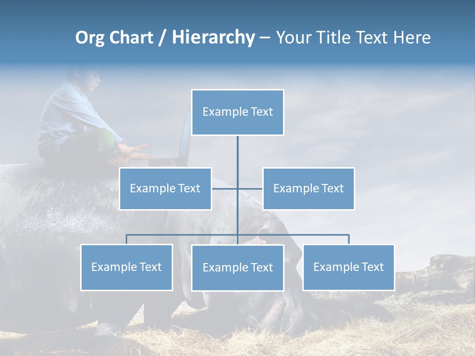 Hippo Boy Connection PowerPoint Template