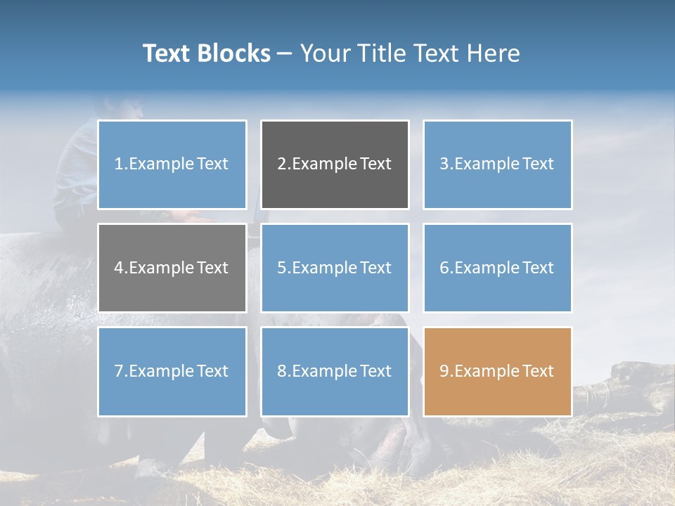 Hippo Boy Connection PowerPoint Template