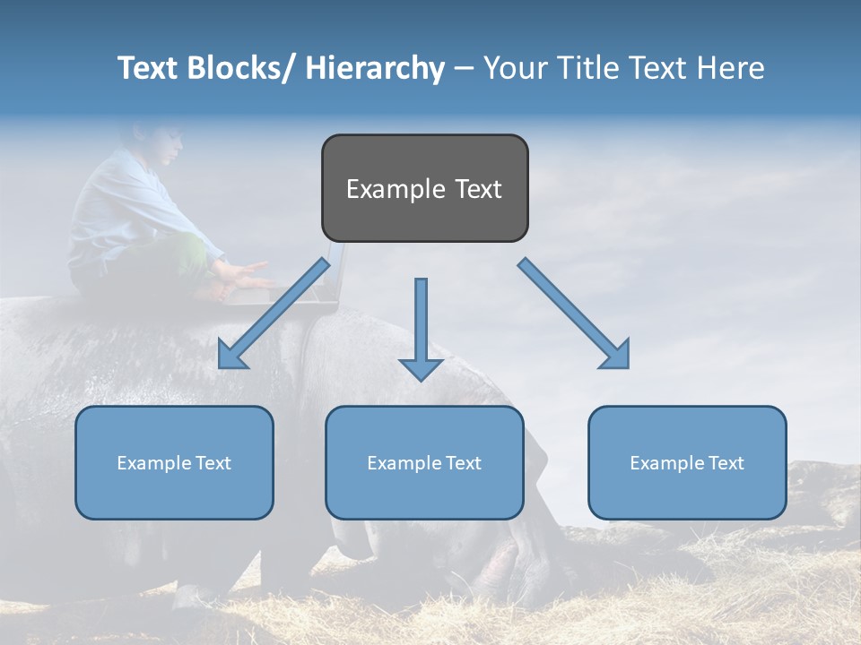 Hippo Boy Connection PowerPoint Template