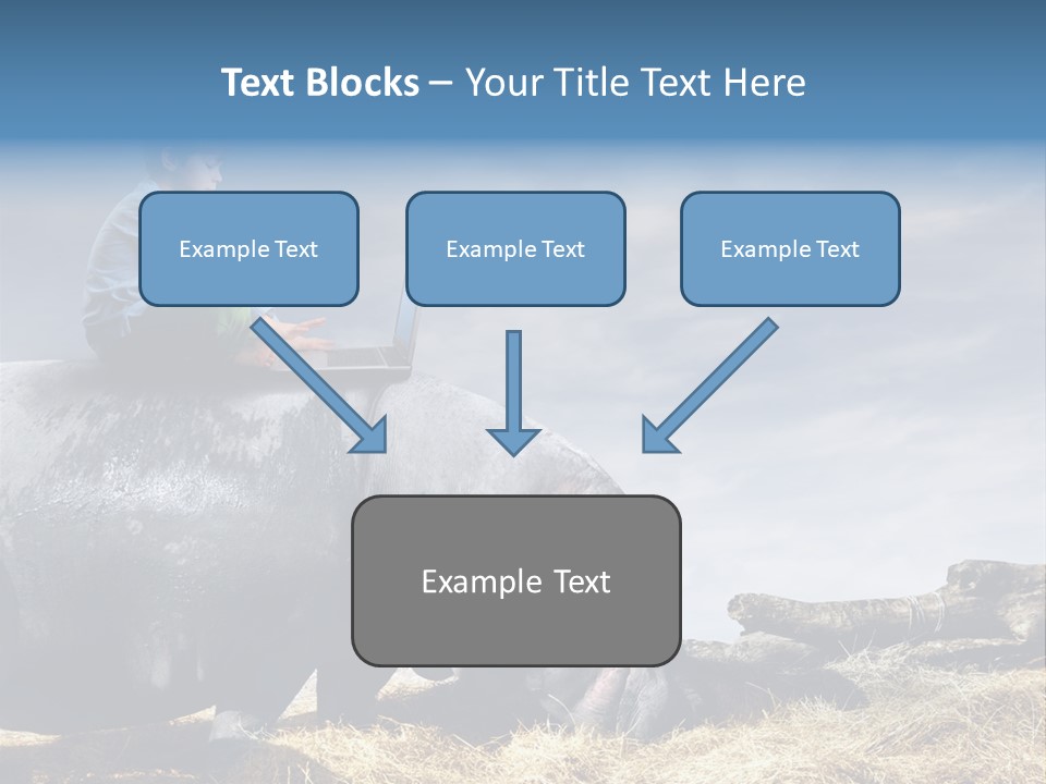 Hippo Boy Connection PowerPoint Template
